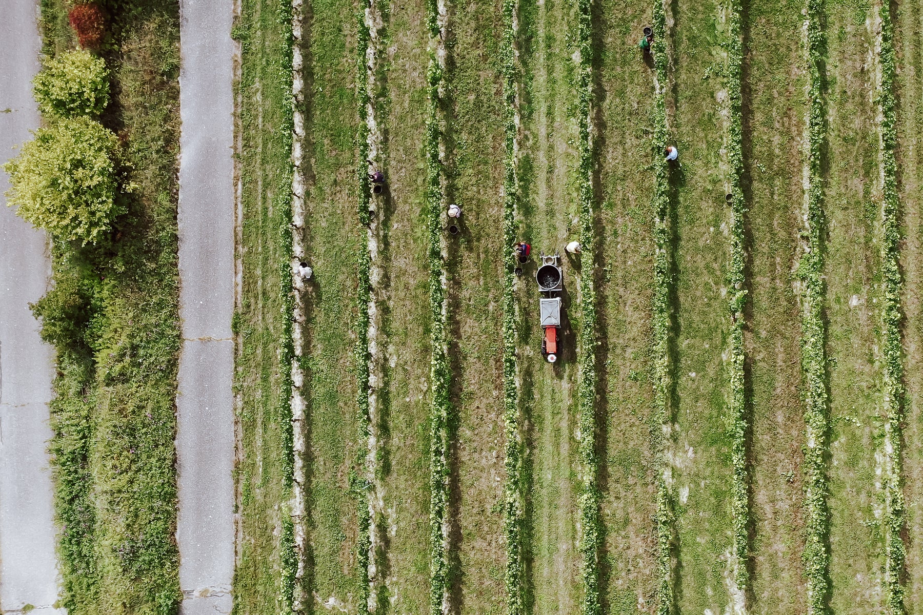 29. & 30.07.2022 - Verkostung Weingut Köbelin