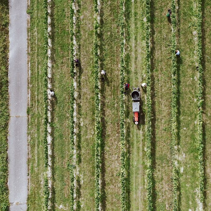 29. & 30.07.2022 - Verkostung Weingut Köbelin