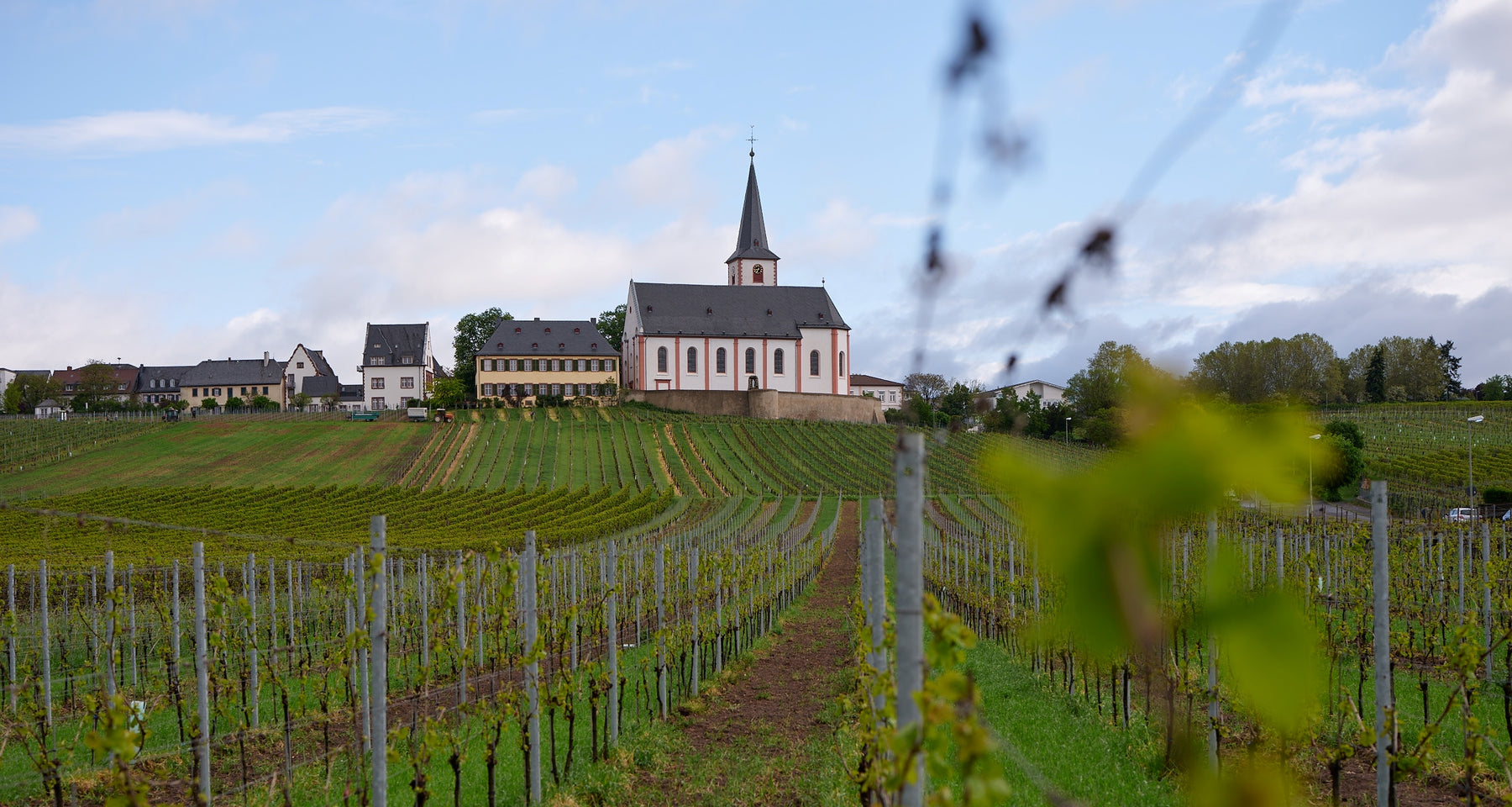 26.08.2022 - Verkostung Weingut Künstler