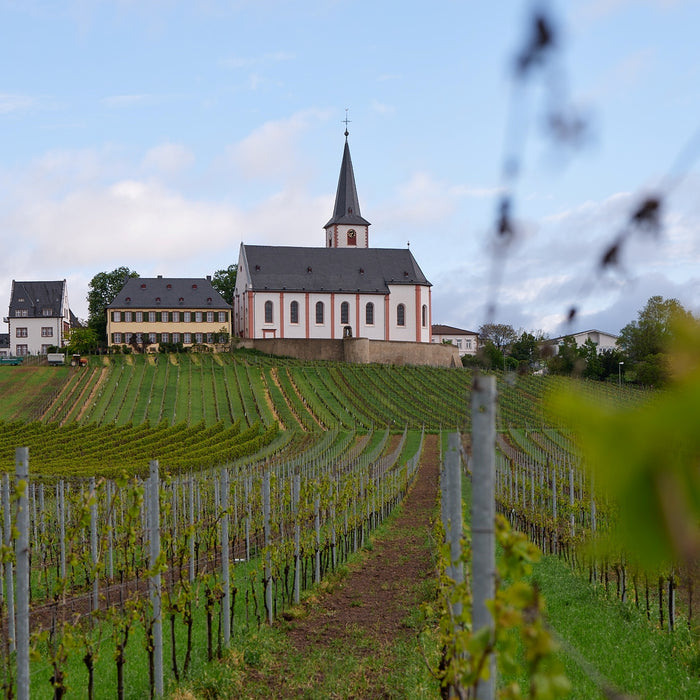 26.08.2022 - Verkostung Weingut Künstler