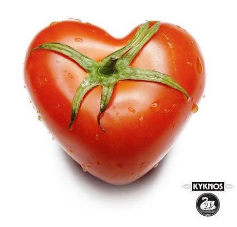 KYKNOS S.A. Greek Canning - Passierte Tomaten aus Griechenland - 6er Pack - 6x500g