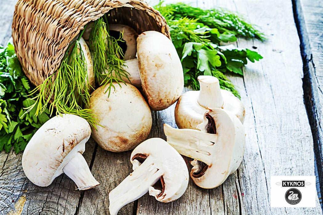 KYKNOS S.A. Greek Canning - Champignons geschnitten aus Griechenland - 10er Pack - 10 x 400g Dosen