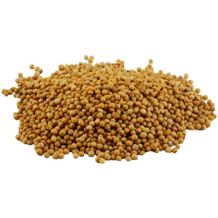 Spirit of Spice - Senfsaat (gelb) - Nachfüllkarton - 120g